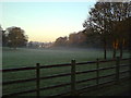 SJ7677 : Meadow near Booths Park in the morning mist by Schlosser67