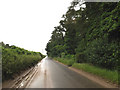 TL9384 : Kilverstone Road, Brettenham by Geographer