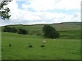 NY2638 : Formerly quarried valley, north of Aughertree Fell by Christine Johnstone