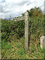 TL9484 : Peddars Way Footpath sign off Kilverstone Road by Geographer