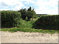 TL9484 : Footpath to West Harling Road by Geographer