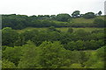 SH8503 : View north across valley of Afon Twymyn, from the railway by Christopher Hilton