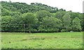 SN7898 : The valley of Afon Dulas, looking south-west by Christine Johnstone