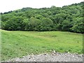 SN7898 : The valley of Afon Dulas, looking south-east by Christine Johnstone