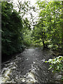 TL9383 : River Thet off Brettenham Road by Geographer