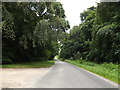 TL9783 : West Harling Road, Middle Harling by Geographer