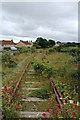 SH4493 : Disused railway track at Amlwch (3) by Richard Hoare