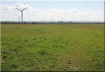  : Field near Curtis Cross by Derek Harper