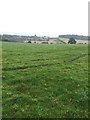 SJ8342 : Butterton: footpath to Seabridge by Jonathan Hutchins