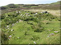 NG3338 : Iron Age house remains by M J Richardson