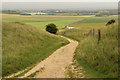 SY6688 : Maiden Castle by Richard Croft