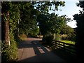 SZ1195 : Throop: Valley Road heads south from The Dell by Chris Downer