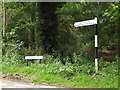 TM0080 : Hall Lane sign & Roadsign on Hall Lane by Geographer