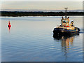 SU4209 : Svitzer Alma at Southampton Docks by David Dixon