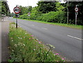 ST2885 : 40mph speed limit on the A48 near Cleppa Park, Newport by Jaggery