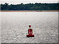 SZ4999 : The Solent, Bourne Gap Channel Marker Buoy by David Dixon