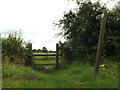 TM0080 : Fen Lane footpath to Smallworth by Geographer