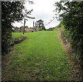 SN1201 : Grassy path into Tenby Cemetery by Jaggery