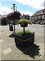 TF2310 : Floral Display on North Street by Geographer