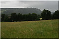 TQ1551 : View Towards Box Hill by Peter Trimming