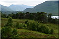 NH1621 : Woodland beside Loch Affric by Mike Pennington