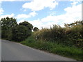 TM0474 : Footpath to Church Lane by Geographer