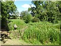 SO8843 : Sluice gate, Croome Park by Philip Halling