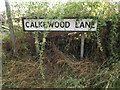 TM0175 : Calkewood Lane sign by Geographer