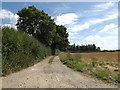 TL9972 : Entrance to Fishpond Farm by Geographer