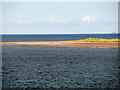 NO5028 : Sandbank at Tentsmuir Point by David Dixon