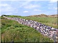 SK0164 : A colourful drystone wall by Graham Hogg