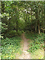 TQ4065 : Path on Hayes Common by Geographer