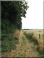 TL9874 : Footpath to Wood Lane by Geographer