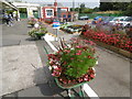 TQ1568 : Floral display at Hampton Court station by Marathon