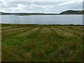 NS2673 : Near the shore of Loch Thom by Lairich Rig