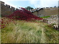 SK9771 : Wave at Lincoln Castle by Richard Humphrey