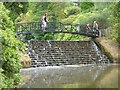 TQ4123 : Cascade and Cascade Bridge at Sheffield Gardens by Philip Halling