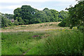 SU9062 : Waste ground near Bagshot by Alan Hunt