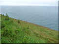 SC2384 : Grassy clifftop, near Bing Buice by Christine Johnstone