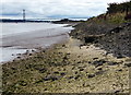 SE9922 : Shoreline at South Ferriby Cliff by Mat Fascione