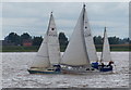 SE9125 : Sailing boats on the Humber at Whitton Ness by Mat Fascione