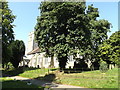 TM1292 : St.Michael's Church, Bunwell by Geographer