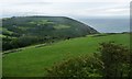 SC4586 : Sheep grazing above Dhoon Glen by Christine Johnstone