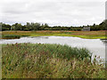 SP8863 : Summer Leys Local Nature Reserve by David Dixon