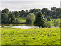 SK4563 : Hardwick Park, View towards The Great Pond by David Dixon