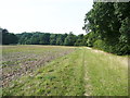 TL1823 : Permissive bridleway next to Hitch Wood by Humphrey Bolton