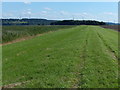 SE8522 : Floodbank along the River Trent near Trent Falls by Mat Fascione