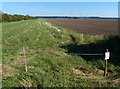 SE8423 : Floodbank at the Blacktoft Sands Nature Reserve by Mat Fascione