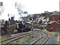 SX8860 : Steam train at Paignton by Malc McDonald