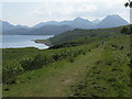 NG5936 : Walker on an Isle of Raasay path by M J Richardson